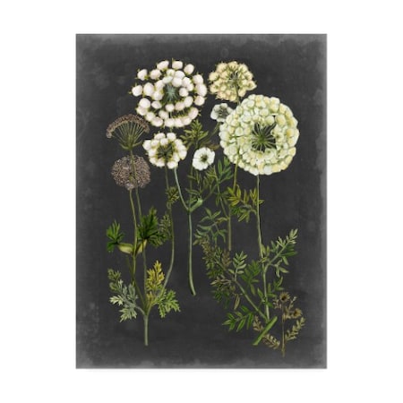 Naomi Mccavitt 'Bookplate Floral Ii' Canvas Art,35x47